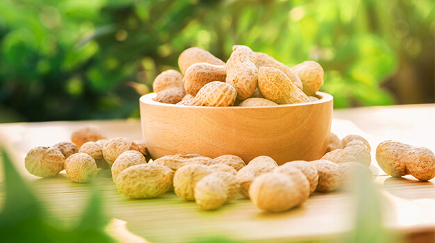 How to grow peanuts? When and how to sow peanuts? And can you grow peanuts in Quebec?