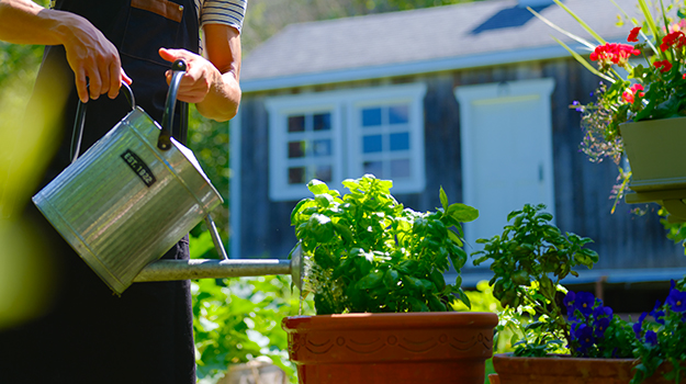 Cultiver des légumes et herbes sur le patio