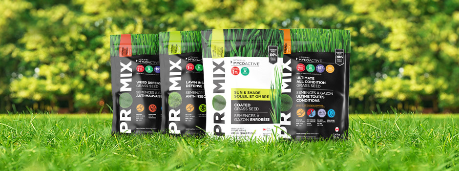 PRO-MIX Grass Seeds