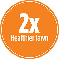 2x healthier lawn with PRO-MIX FALL & WINTER LAWN FERTILIZER 10-0-32