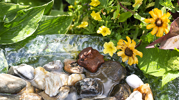 DIY watering station for bees and butterflies.How to make a bee and butterfly drinker at home with what you have at home.