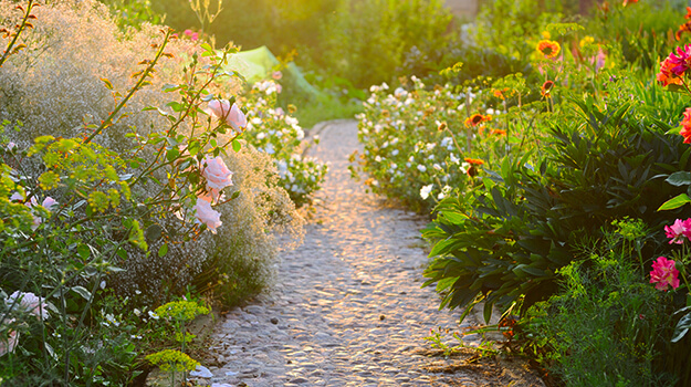 Magnifique jardin anglais sous un bel éclairage du soleil du matin.