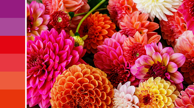 How to create stunning floral arrangements with similar colors.