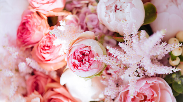 Comment créer un jardin de roses.