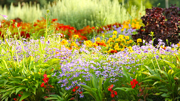 How to create floral arrangements in a multicolored garden.