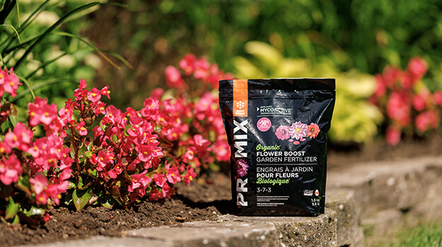 When to add fertilizer and how to fertilize flower beds during the season.