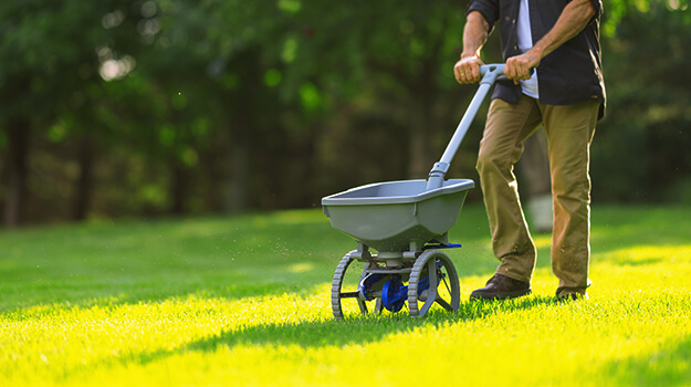 When and how to fertilize the vegetable garden to have a good harvest and what fertilizer to use to grow vegetables?