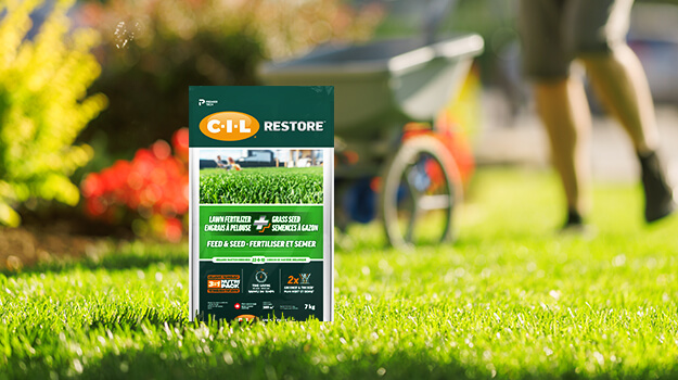 When and how to fertilize the lawn during the season to have a dense, green and healthy lawn. What is the best lawn fertilizer?