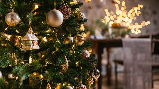 Which Christmas lights to choose for your indoor decorations and how to install electric decorations in the tree.