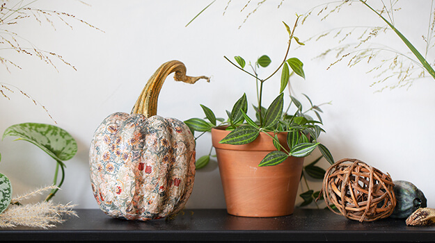 Mod Podge flowery pumpkins