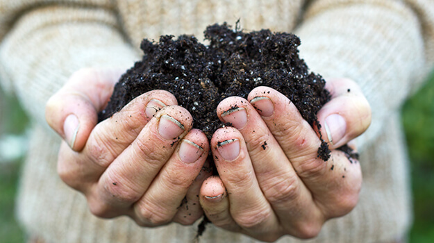 The benefits of composting at home