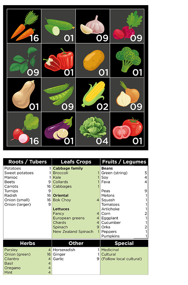 How to plant vegetables in a square vegetable garden.