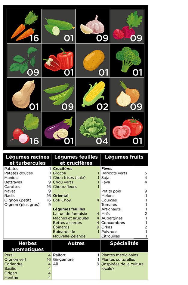 Comment planter les légumes dans un potager en carrés.