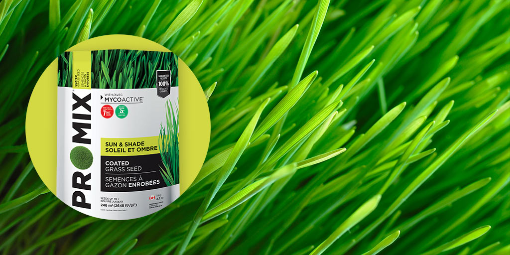 PRO-MIX SUN & SHADE COATED GRASS SEED