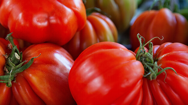 What type of tomato grows the biggest