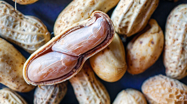 Is peanut a nut and what is the difference between peanut and groundnut?