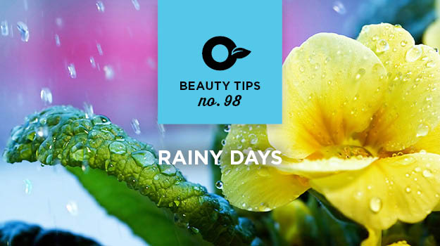 promix-gardening-rainy-days-tips98