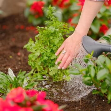 Pro Garden Fil de jardin ProGarden Facilite la fixation des plantes à prix  pas cher