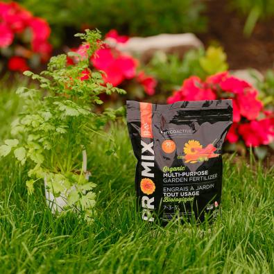 Organic garden store fertilizer